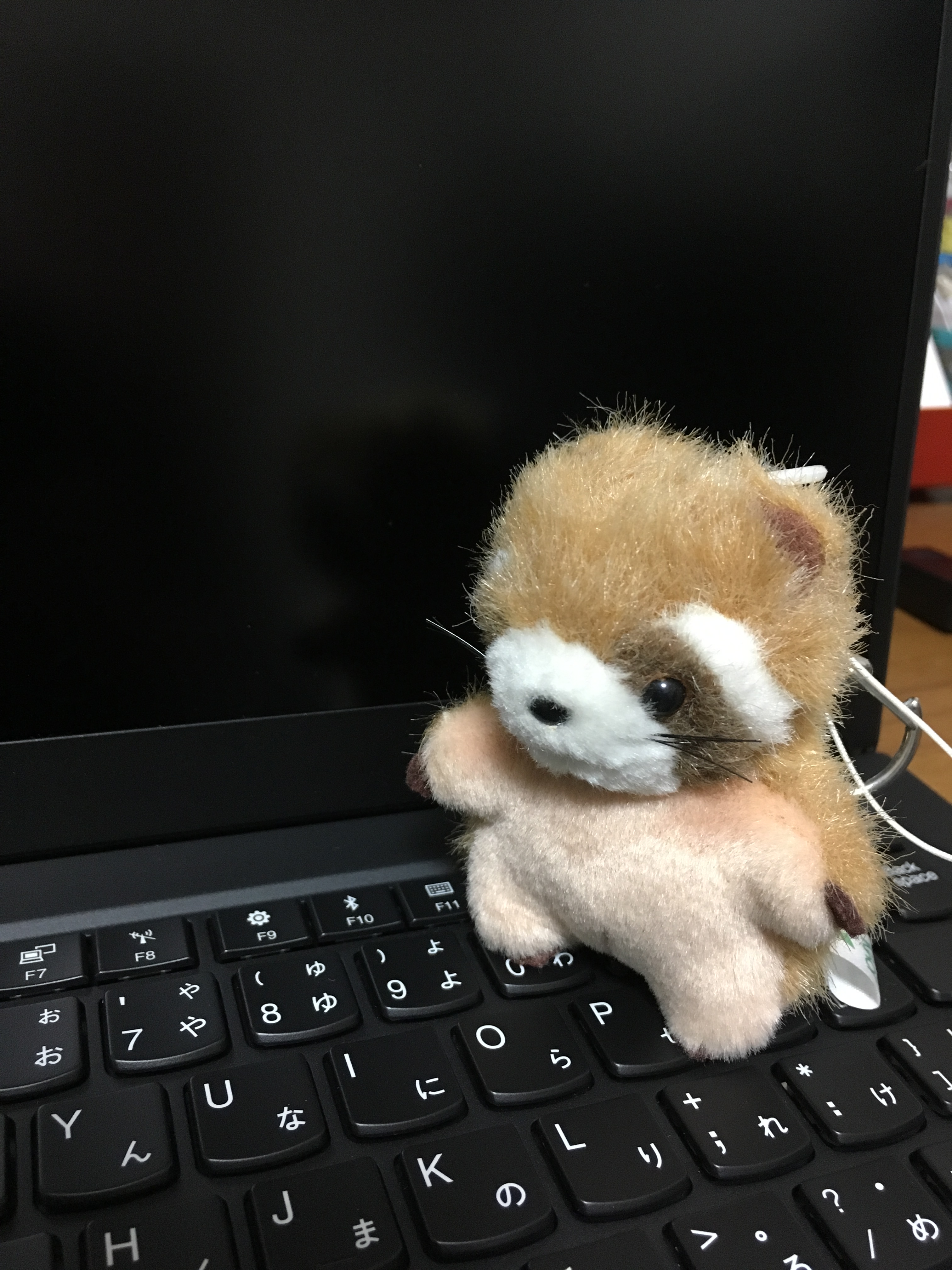 ノートパソコン 新入生の準備にいかがでしょうか